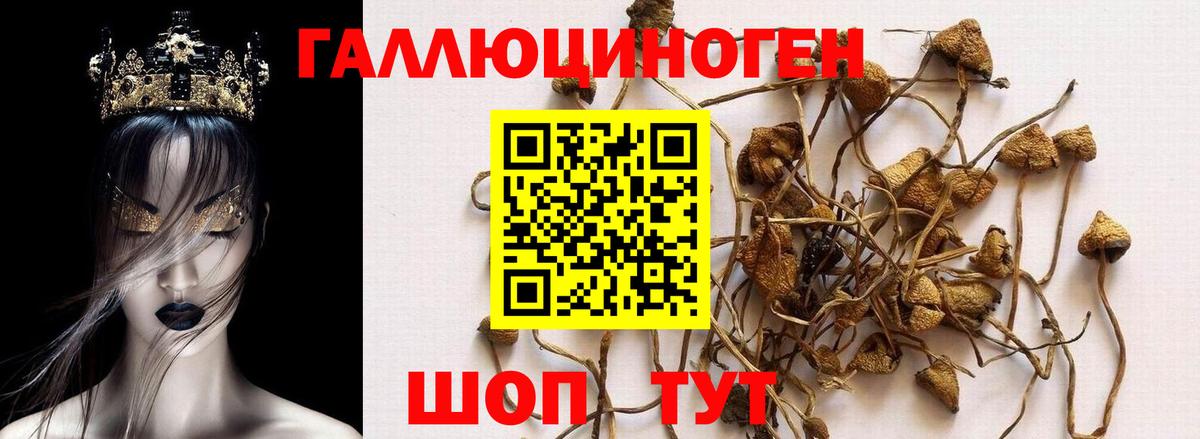 Псилоцибиновые грибы MAGIC MUSHROOMS  Псилоцибиновые грибы ЛСД  Можайск  Вход с VPN 